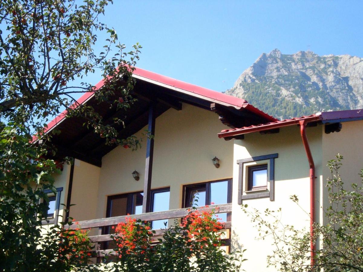 Casa Cu Flori Hotel Busteni Exterior photo