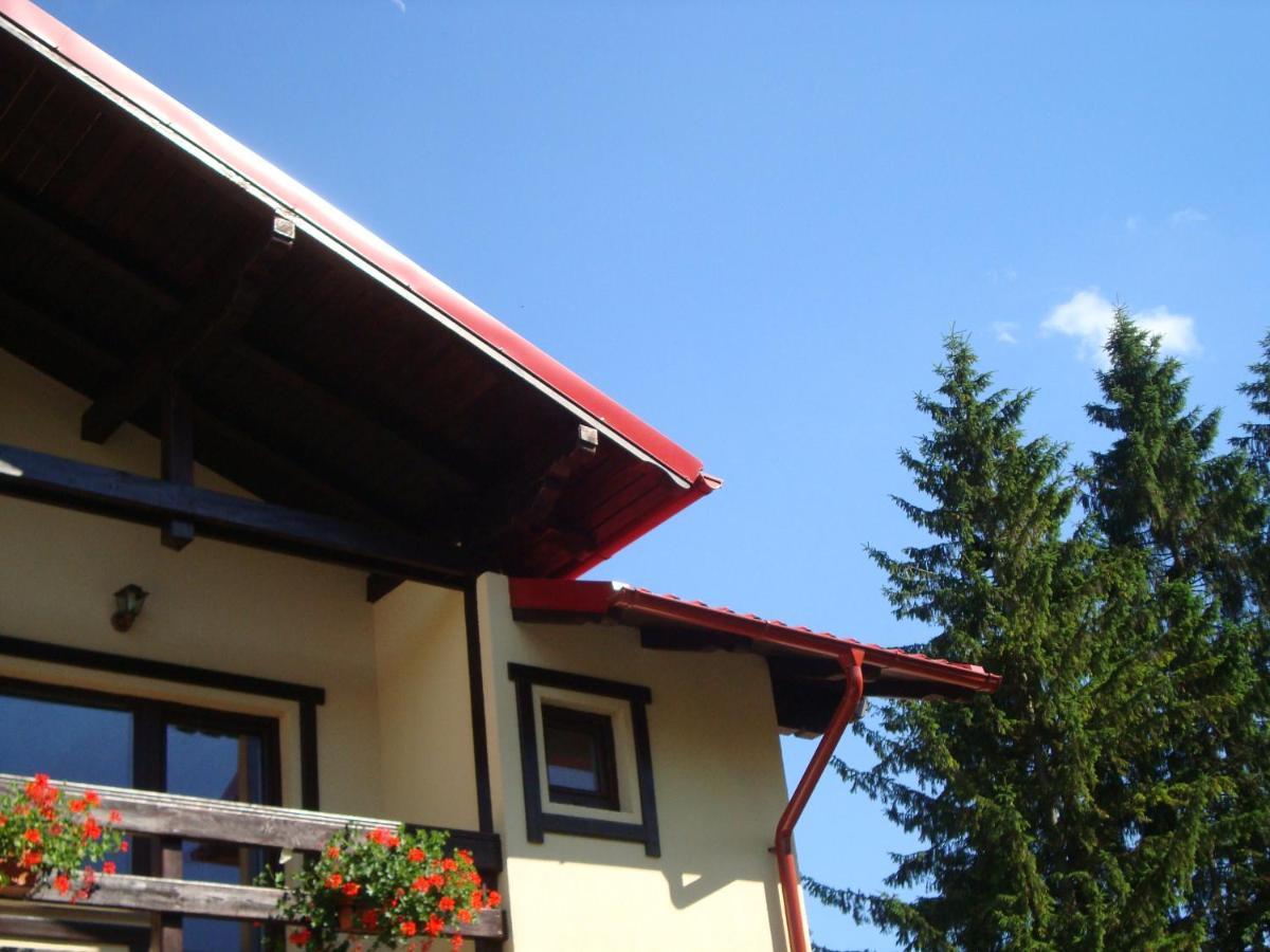 Casa Cu Flori Hotel Busteni Exterior photo