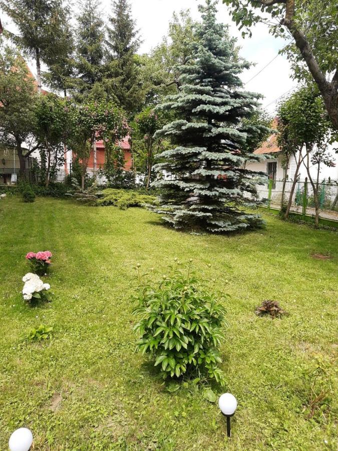 Casa Cu Flori Hotel Busteni Exterior photo