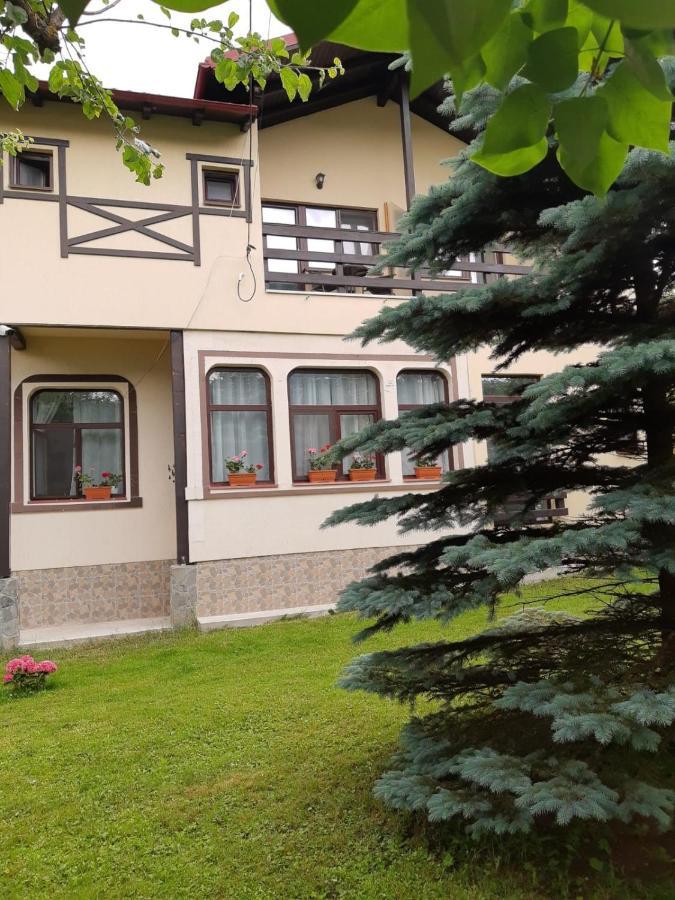 Casa Cu Flori Hotel Busteni Exterior photo