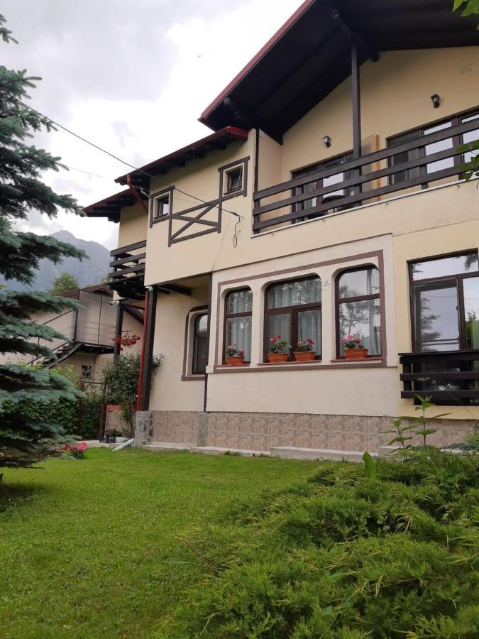 Casa Cu Flori Hotel Busteni Exterior photo