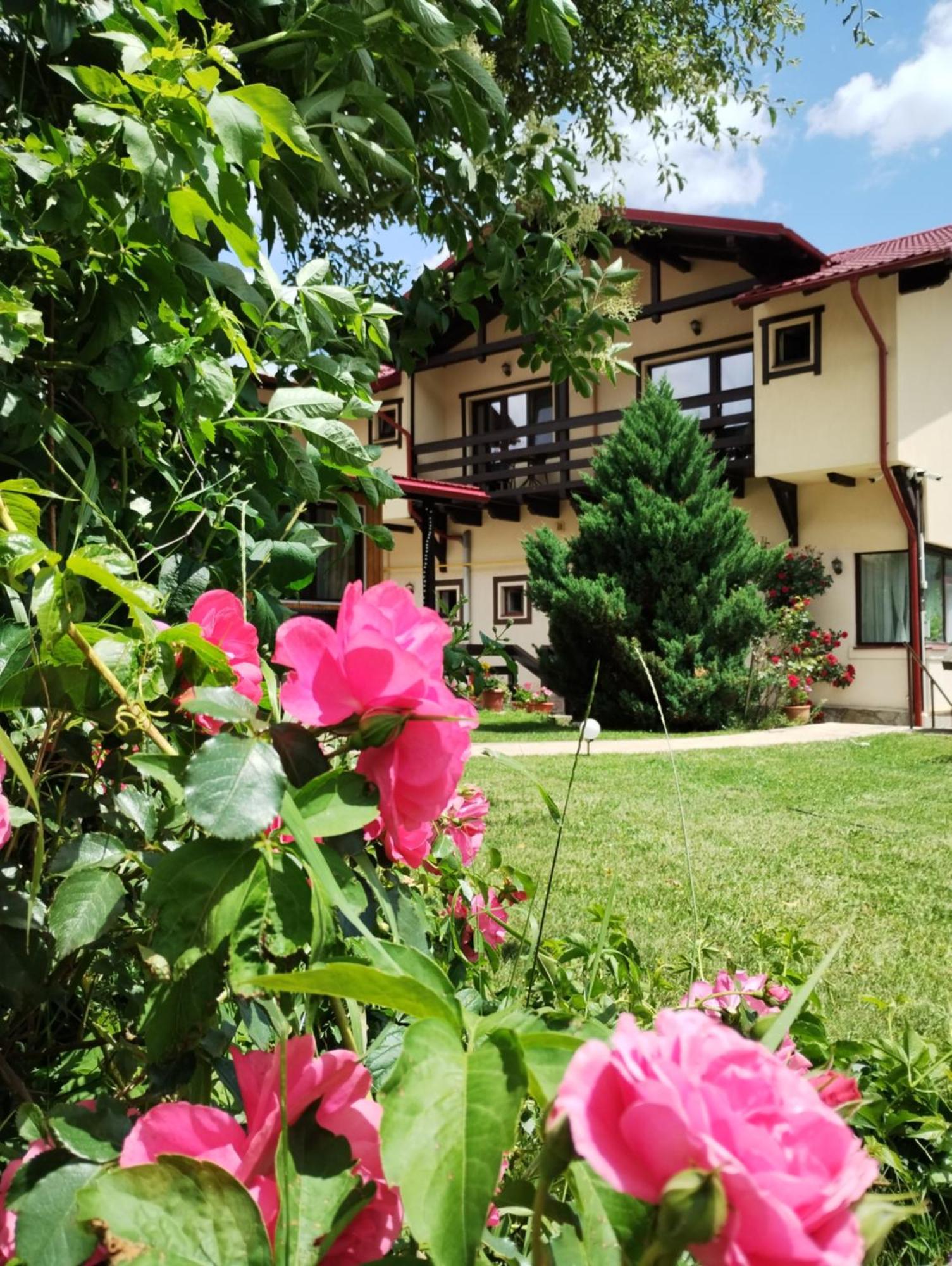 Casa Cu Flori Hotel Busteni Exterior photo